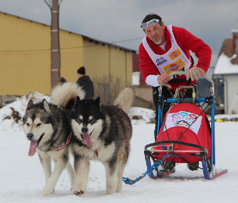 GLORIOUS ILULIAQ ICE BOY OF AMARUQ SPIRIT et BLACK PEARL IKUMA OVER VALE AND DALE