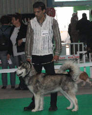 Rec Bright Northern Star's Varanari au championnat de France 2007