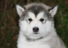 Male 1 - 3565 grammes - 09/09/08