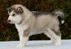 Male 1 - 3565 grammes - 09/09/08