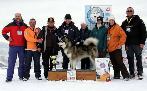 Bright Northern Star's Fenix fait le BISS au RASSEMBLEMENT WINTER WINNER 2012 en Italie