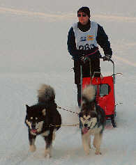 Taro et Valmy au brevet de travail de l'alpe du grand serre 2006