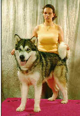 Bright Northern Star's Trust No One au CH de France  Lyon 2005