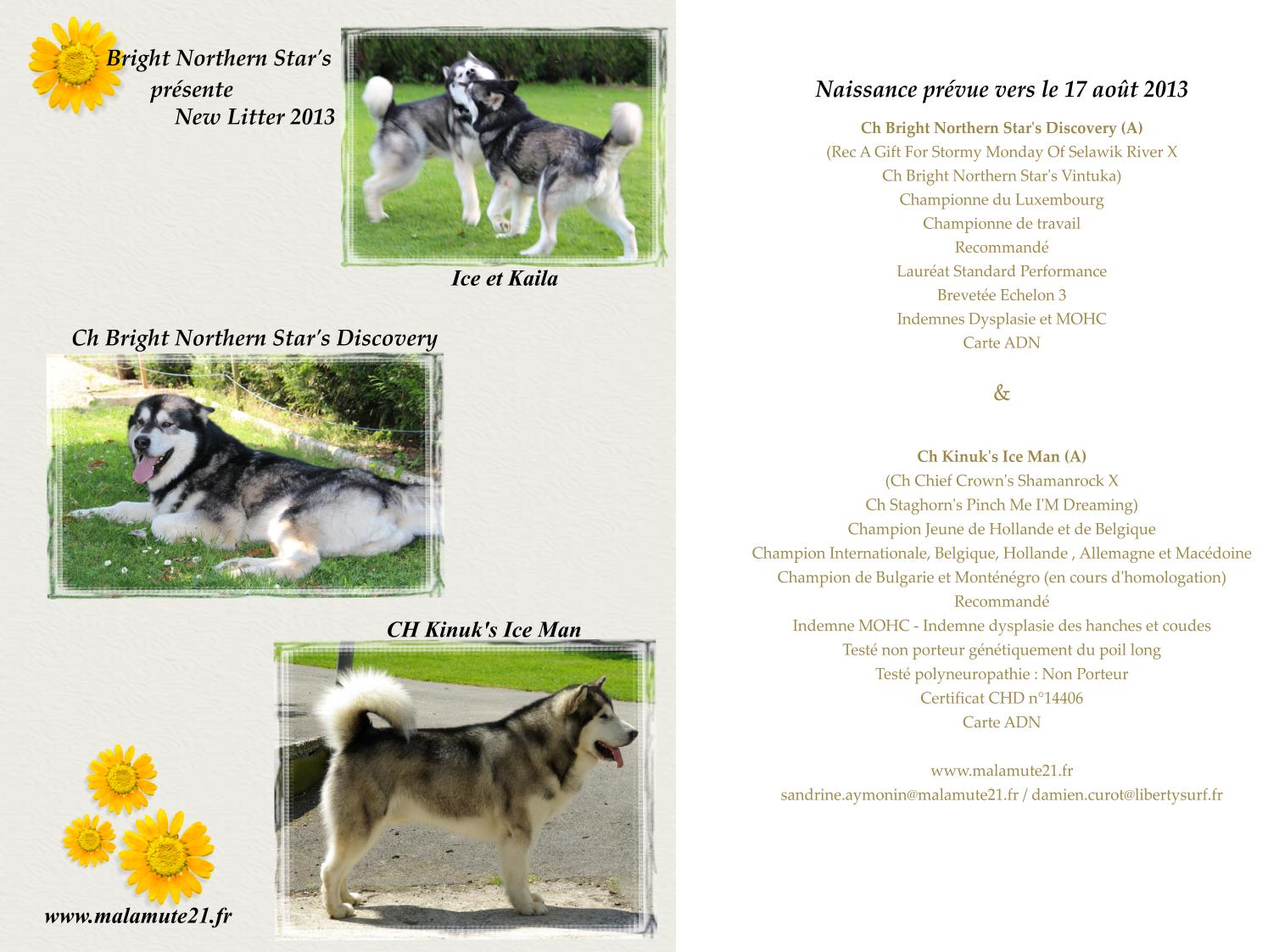 Cliquez sur l'image pour l'agrandir!