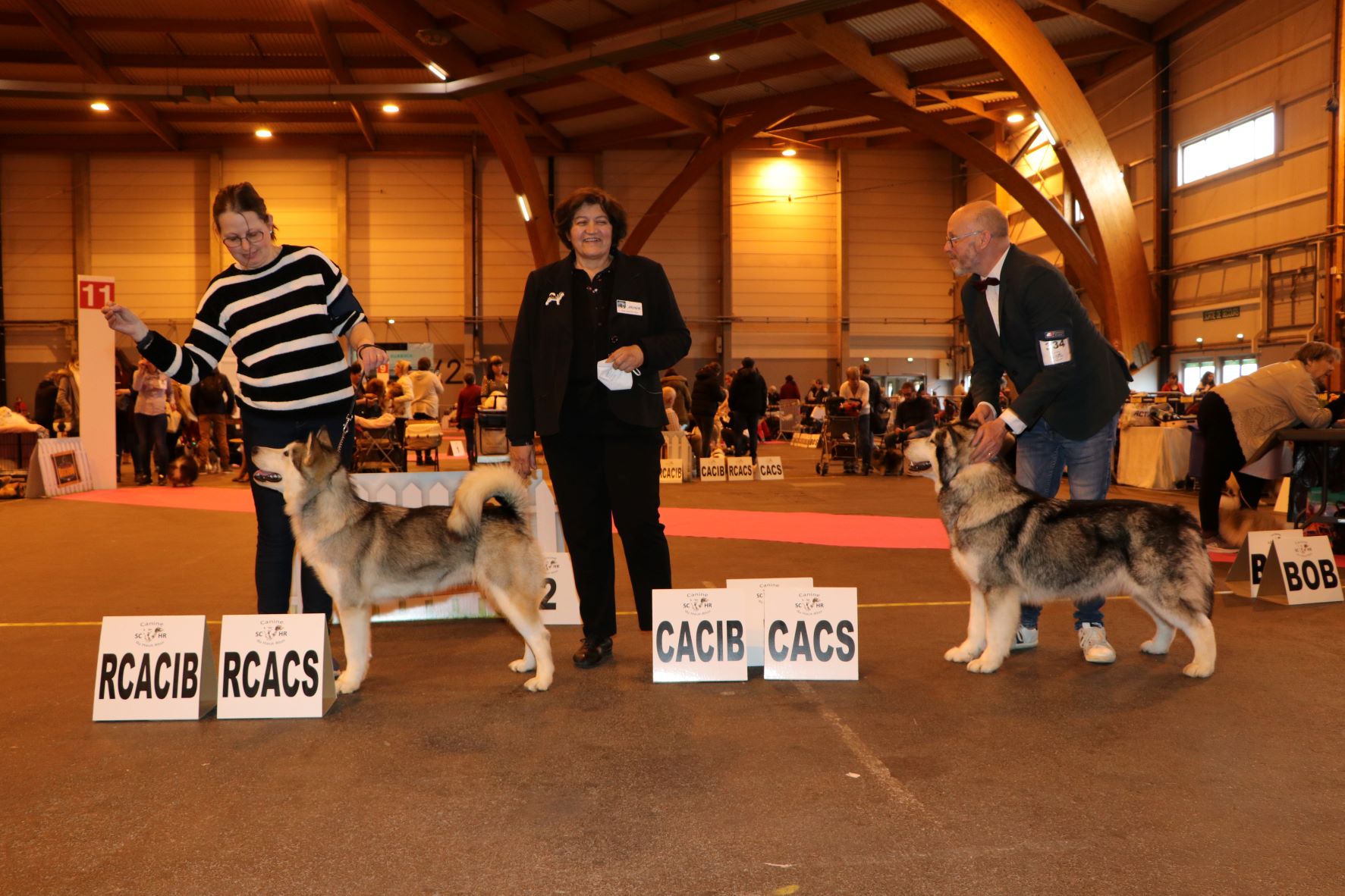 Bright Northern Star's Rayha à Colmar 2022 - RCACIB RCACS