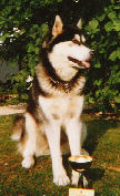 Betty en 1988