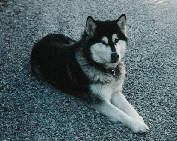 Betty  10 ans