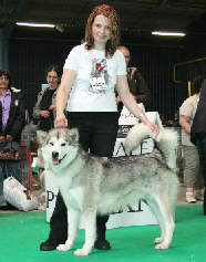 Ch Silver Lady Du Souffle d'Autan au championnat de France 2007