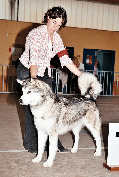 Lady  la nationale d'levage 2006 (1er EXC Classe travail)