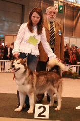 Lady qui termine 2me en classe travail au Salon de l'Agriculture 2008