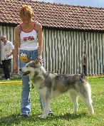 Silver lady  Chalette sur loing 2003 CACS-BOB