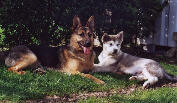 Silver lady et Roxanne
