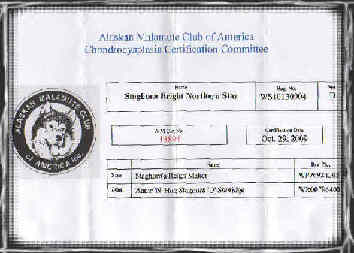 Certifi CHD N13894