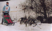 Damien, Wolf et Lady