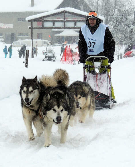 Maxence avec FIRE STORM DE MAGELLAN EN ISERE, HARD SNOW OF WHITE MOUTAIN DE LAOUEN KI et FATAL ICE TOPS OF CHARME WITH TOM