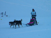 Phantom et Lady au BT de l'Alpe du grand serre 2005 