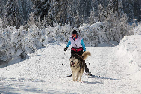 Anne termine 1 re de la catgorie SJ F avec  Bright Northern Star's Amarok 