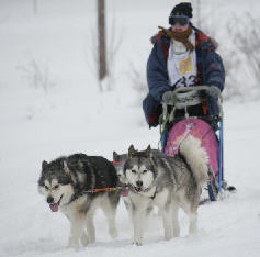Sandrine avec Zara, Vintuka et Orion au BT de l'Alpe du Grand Serre 2008 (1re manche)