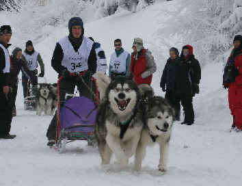 Anne avec Cazan et Lady - Alpe du grand serre 2010