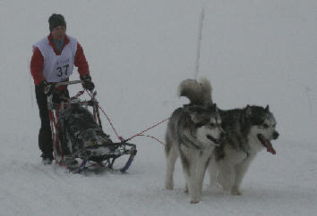 Patrick avec Ubak et Blizska - Alpe du grand serre 2010