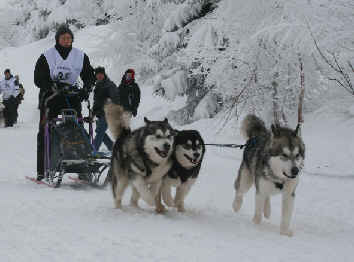 Valrie avec Hunter, Dmon et Diablesse - Alpe du grand serre 2010