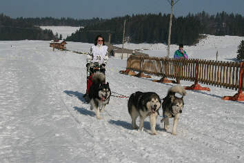 Sandrine avec Kaïla, Orion et Vintuka