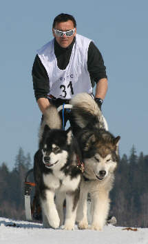 Laurent termine 3me avec Ikouma et Amarok