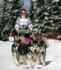 Sandrine avec Orion, Lady et Vintuka au championnat brevet de travail AMCF le 10 et 11 mars 2007