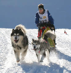 Denis en 2me place au BT de L'alpe du grand Serre 2008