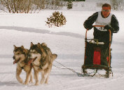 Luc avec Tiki et Torok