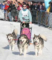 Damien avec Vintuka, Orion et Lady au championnat AMCF  Meaudre 2008