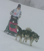 Brevet de travail : Sandrine, Wolf et Lady