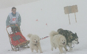 Damien, Zara, Nyorka et Oliday