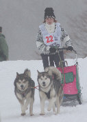 Brevet de travail : Sandrine, Wolf et Lady
