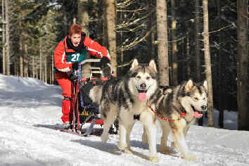 Camille avec Cheyenne et Baltik - Lac Blanc 2010