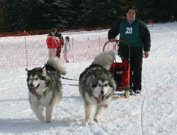 Caroline avec Bryse et Coco Chanel - Lac Blanc 2010
