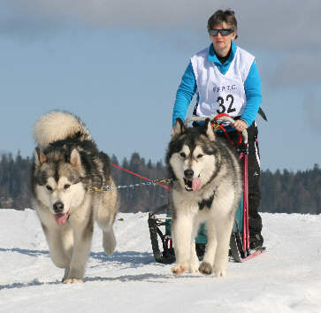 P'tit Joe en catgorie D2 Mi-Distance