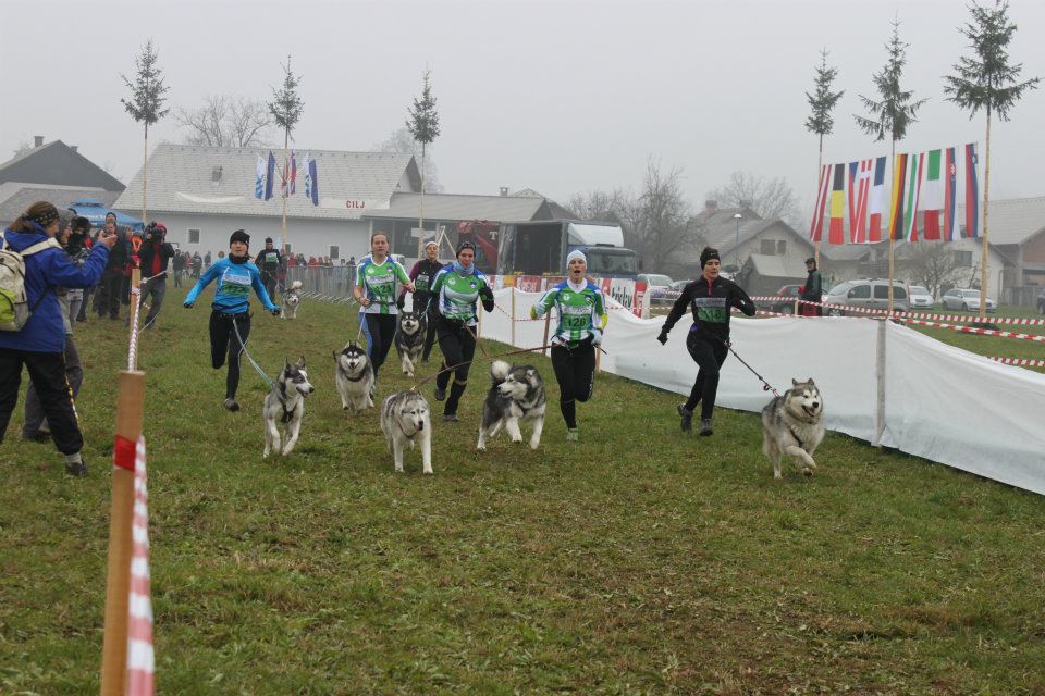 Anne qui remporte la médaille de bronze avec Cyra au championnat d'europe 2011 - Catégorie cani-cross