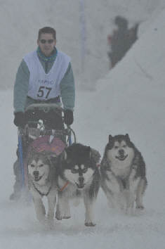 Damien avec Vintuka, Kala et Orion  L'Alpe du Grand Serre 2010