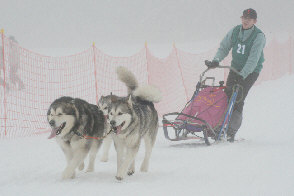 Damien avec Orion, Vintuka et Lady au Brevet de travail du Lac Blanc 2009