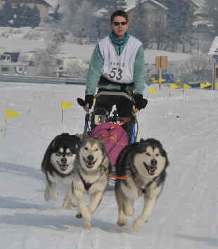 Damien avec Orion, Vintuka et Kala  Meaudre 2010