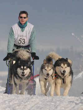 Damien avec Orion, Vintuka et Kala  Meaudre 2010