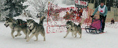 Damien avec Orion, Lady et Vintuka au BT du Lac Blanc 2006