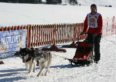Eric avec Balto et Charlie - 4 me place au brevet de travail Les Pontets 2009 