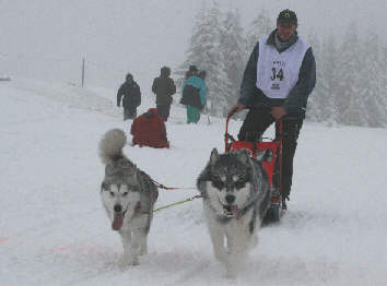 Eric avec Balto et Charlie - 5 me place au brevet de travail au Plateau du Retord 2009