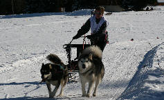 Florence avec Umiak et Cherkane - 5 me place au championnat AMCF   L'alpe du Grand Serre 2009