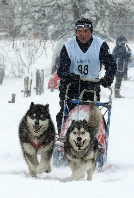 Laurent avec BLACK PEARL IKUMA OVER VALE AND DALE et GLORIOUS ILULIAQ ICE BOY OF AMARUQ SPIRIT