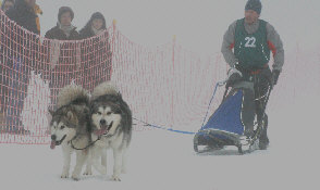 Jean-Michel  avec Amarok et Cyra - 1re place au brevet de travail au lac Blanc 2009 