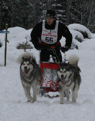 Jean-Michel avec Amarok (Fils d'orion & Lady) et Everest (Petite fille de Wolf)