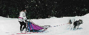 Lady ( RCACT) et Thunder au BT de Flaine 2005